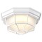 Nuvo LED Spider Cage Fixture, White Finish with Frosted Glass 62/1399 - alternate 4
